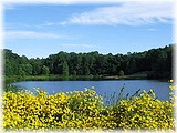 Royal Lake Park, Virginia