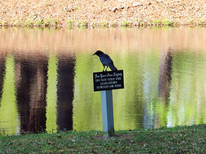    ,
   "  …" •
Brookgreen Gardens, Myrtle Beach, South Carolina