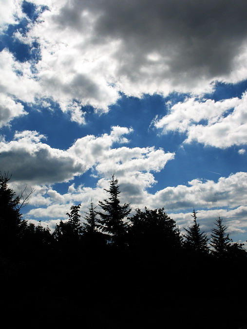 Dolly Sods, West Virginia