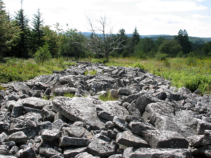  …
Dolly Sods, West Virginia