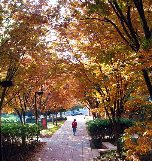   – In an Autumn Mood