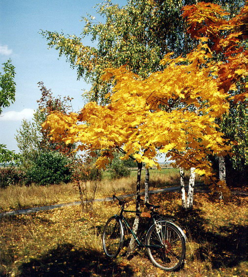   – In an Autumn Mood