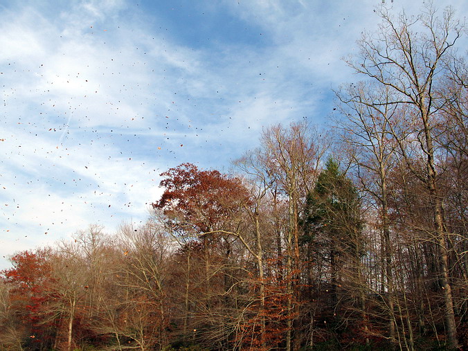  – In an Autumn Mood.
,     …