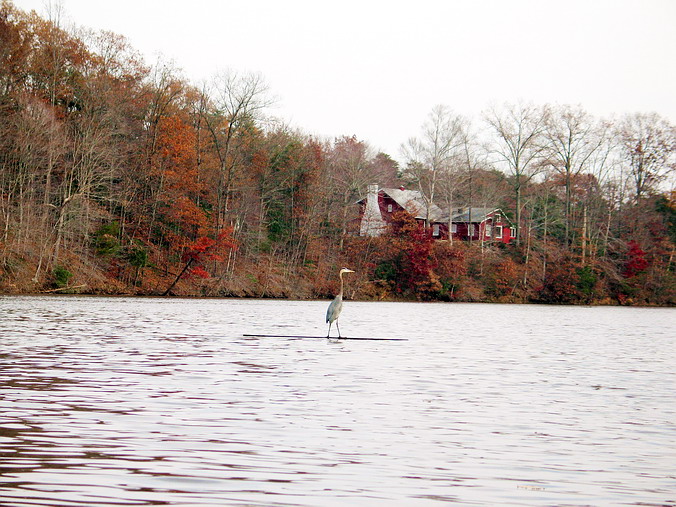   – In an Autumn Mood.
  – , ,  – !..