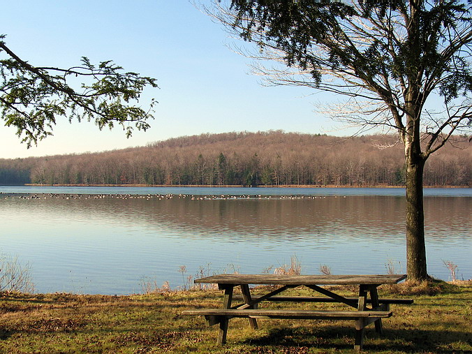 Prince Gallitzin State Park • Pennsylvania