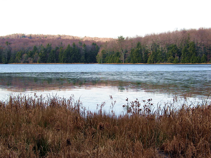 ��������� ����� 2006-�� ����&hellip;
Prince Gallitzin State Park • Pennsylvania