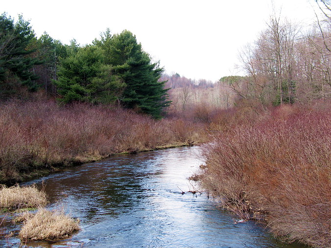 Prince Gallitzin State Park • Pennsylvania