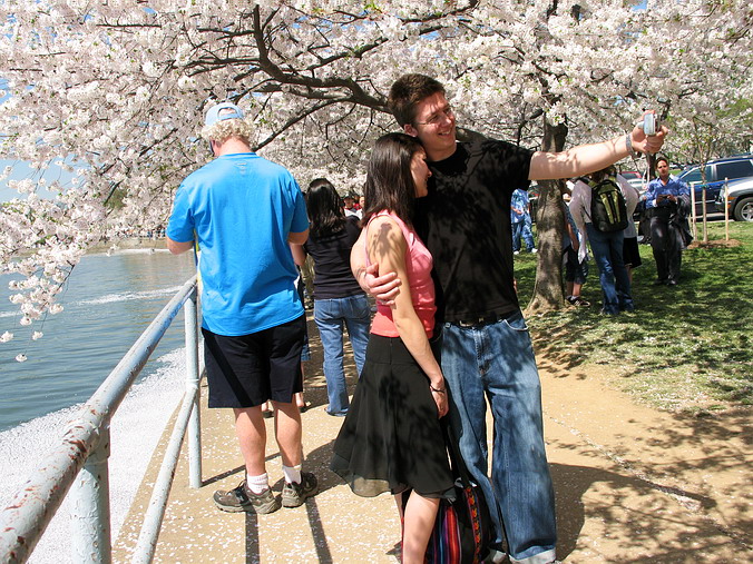 Cherry Blossom Mania – Beauty & Spirit •  Washington, DC