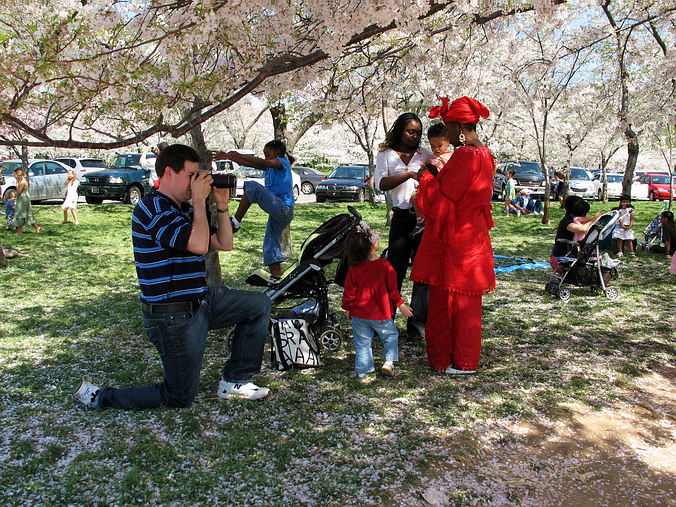 Cherry Blossom Mania – Beauty & Spirit •  Washington, DC