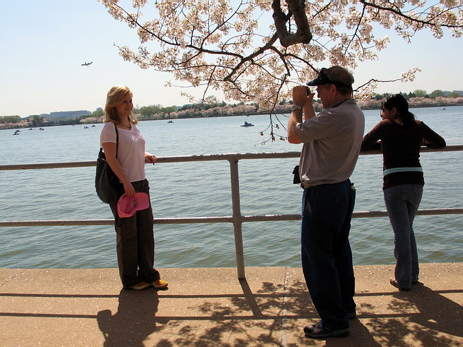 Cherry Blossom Mania – Beauty & Spirit •  Washington, DC