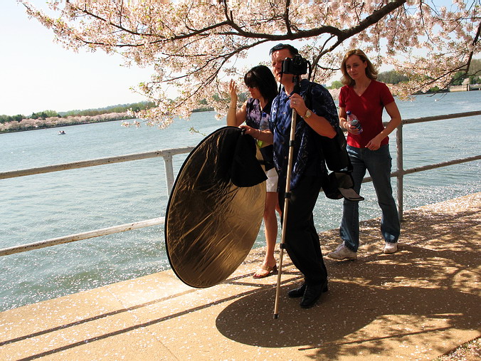 Cherry Blossom Mania – Beauty & Spirit •  Washington, DC