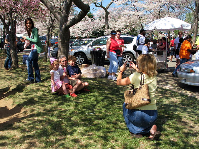 Cherry Blossom Mania – Beauty & Spirit •  Washington, DC