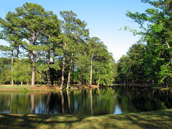 Brookgreen Gardens, South Carolina •  