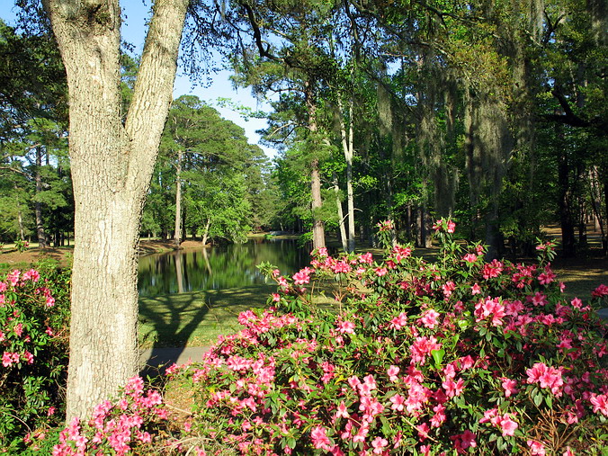 Brookgreen Gardens, South Carolina •  