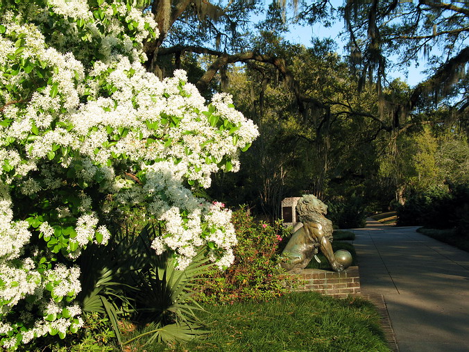Brookgreen Gardens, South Carolina •  