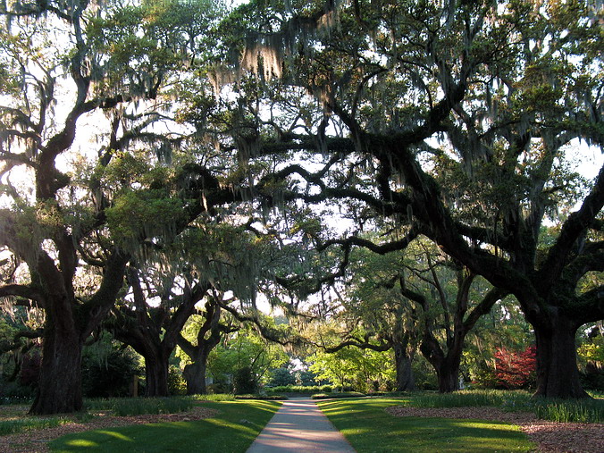 Brookgreen Gardens, South Carolina •  