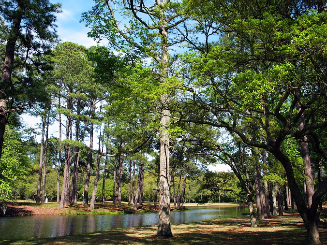Brookgreen Gardens, South Carolina •  