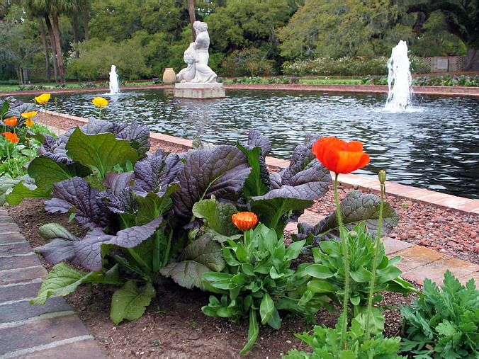 Brookgreen Gardens, South Carolina •   •
, ,  …