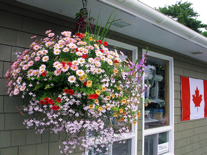 Halifax, Nova Scotia, Canada • , 