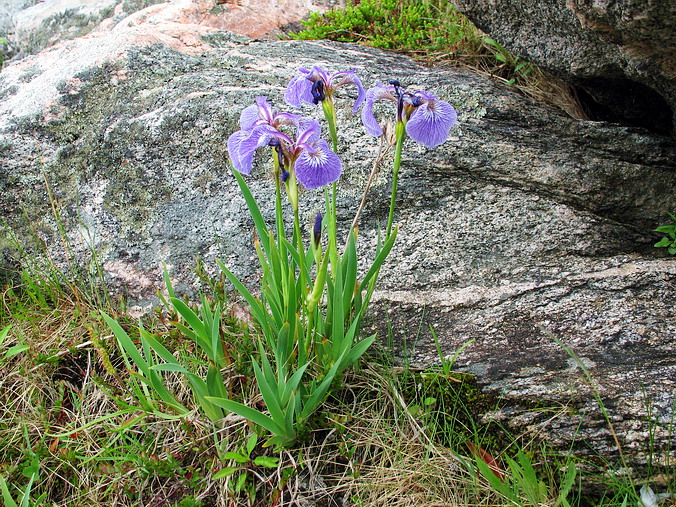 Nova Scotia, Cape Breton, Canada •  , 