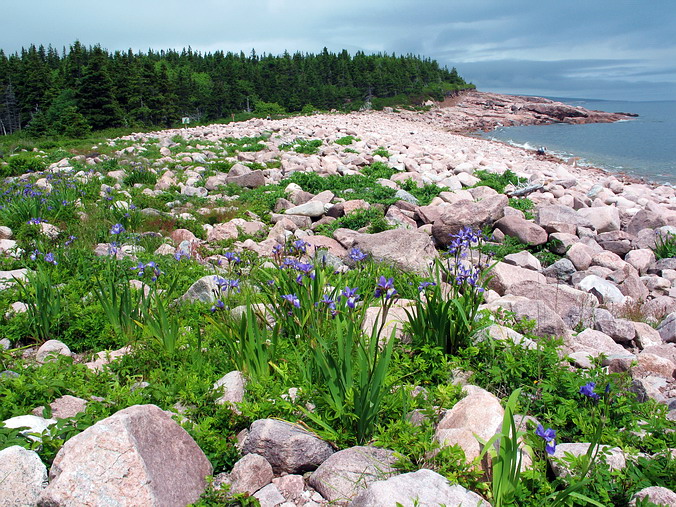 Nova Scotia, Cape Breton, Canada •  , 