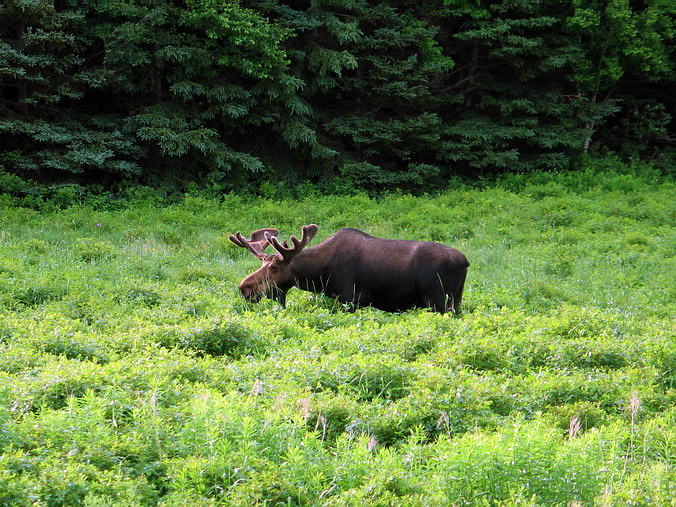 Nova Scotia, Cape Breton, Canada •  , 