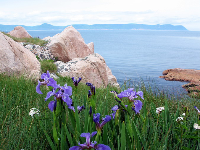 Nova Scotia, Cape Breton, Canada •  , 