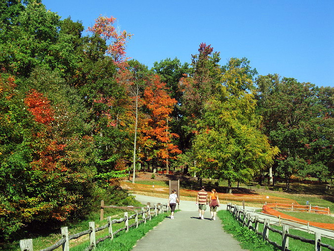 Laurel Hill State Park, Pennsylvania.     …