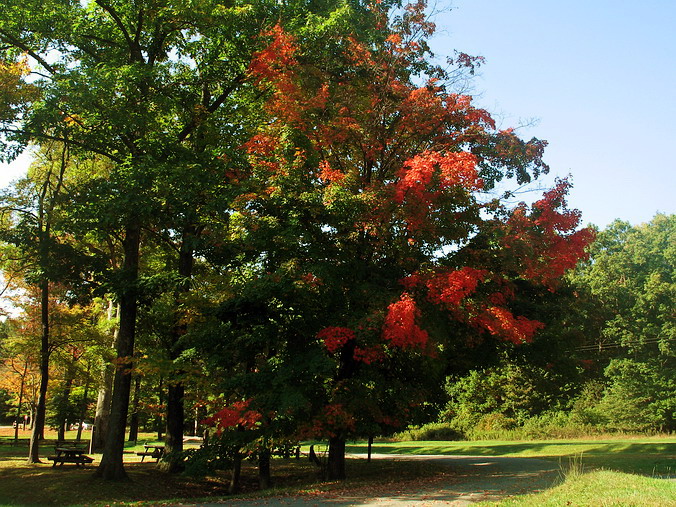 Laurel Hill State Park, Pennsylvania