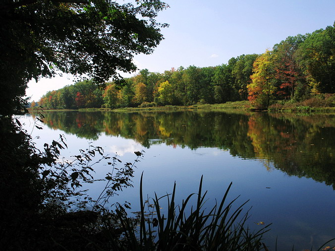 Laurel Hill State Park, Pennsylvania