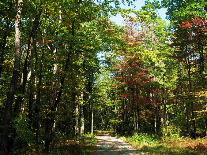 Laurel Hill State Park, Pennsylvania