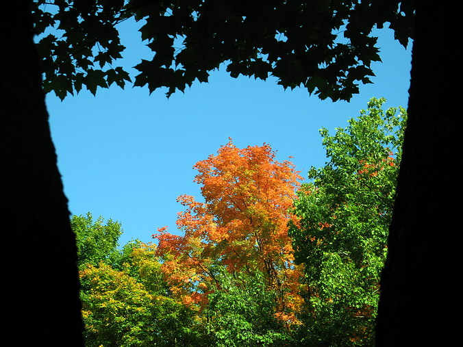 Laurel Hill State Park, Pennsylvania