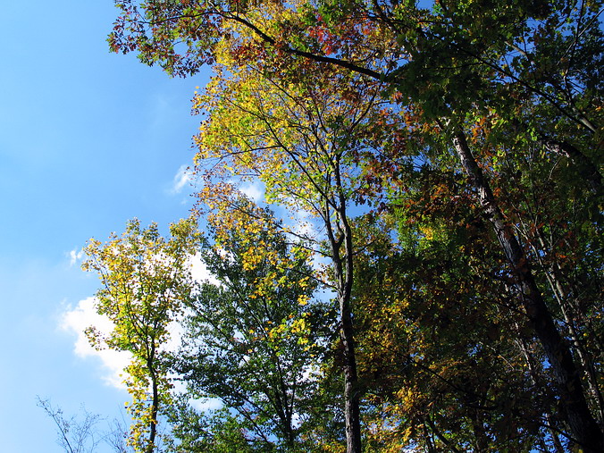 Laurel Hill State Park, Pennsylvania