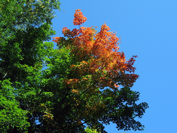Laurel Hill State Park, Pennsylvania.    …