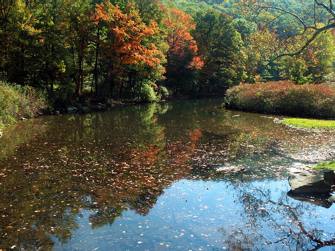 Laurel Hill State Park, Pennsylvania