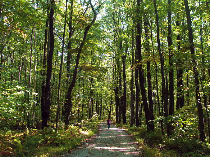Laurel Hill State Park, Pennsylvania