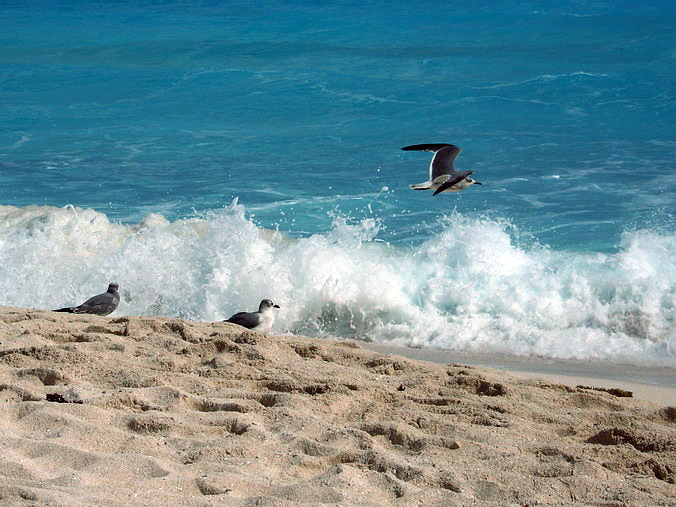 Cancun, Mexico. ,  !..