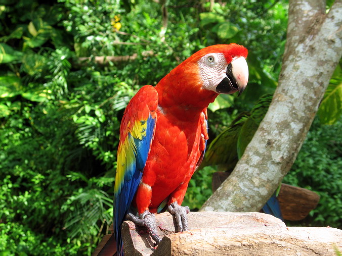 Xcaret Eco Archaeological Park. ----!