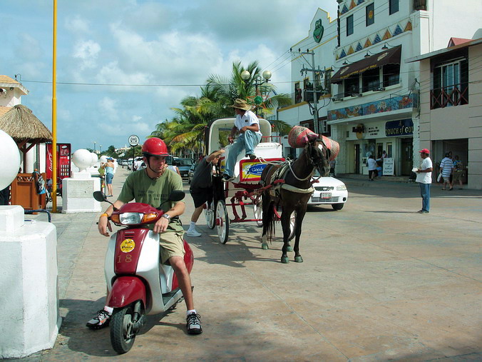 Cozumel.     100    …