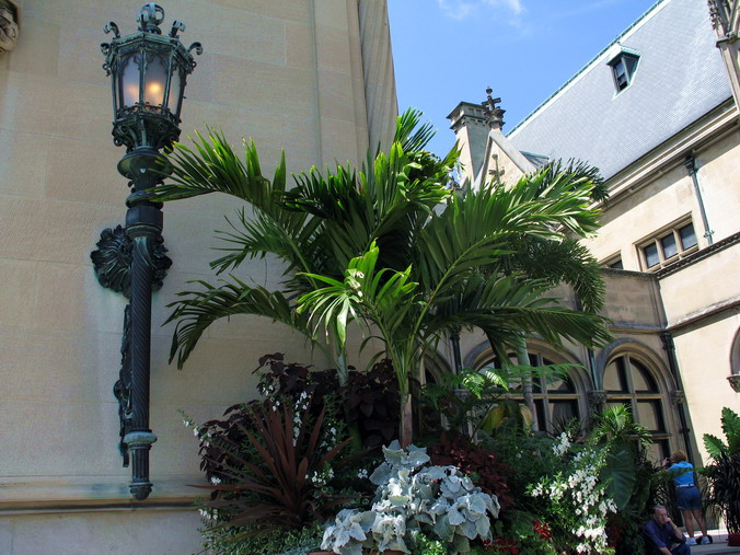  . ,   •
Biltmore Estate. Asheville, North Carolina
