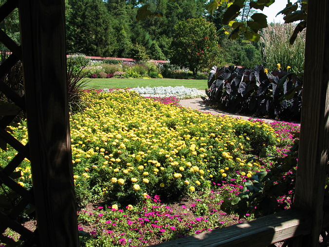    …
 . ,   •
Biltmore Estate. Asheville, North Carolina
