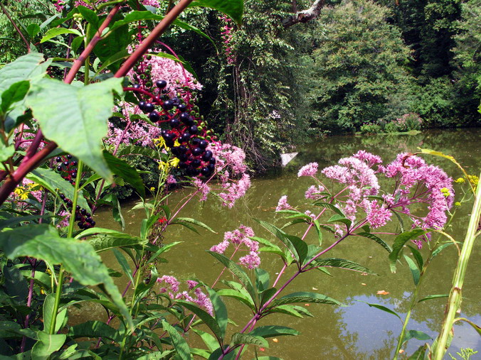  . ,   •
Biltmore Estate. Asheville, North Carolina