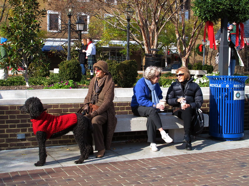 , …   …
    ,  •
Scottish Christmas Parade, Alexandria, Virginia • December 4, 2010