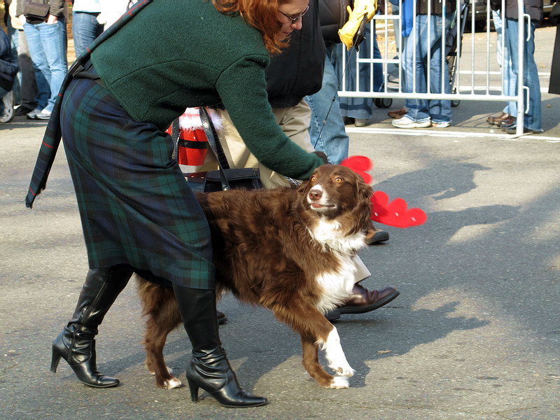 ,        …
    ,  •
Scottish Christmas Parade, Alexandria, Virginia • December 4, 2010