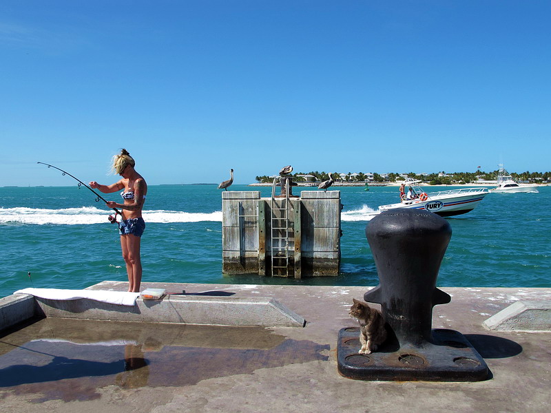  .  , ,    …
•  ,    ,  • Key West, Florida