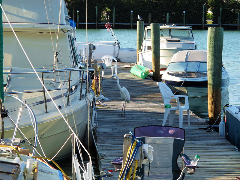    …     …
•  ,    ,  • Key West, Florida