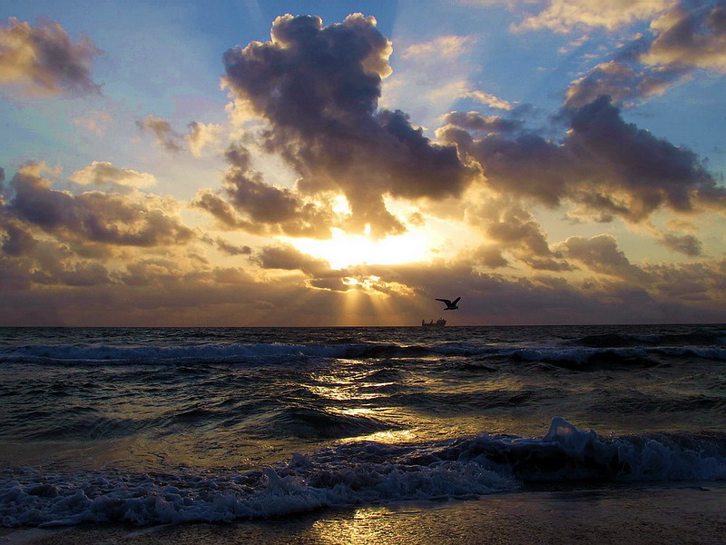  .   …
•  ,  • Fort Lauderdale, Florida