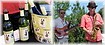 The Virginia Wine Festival.  1