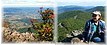Shenandoah. Virginia