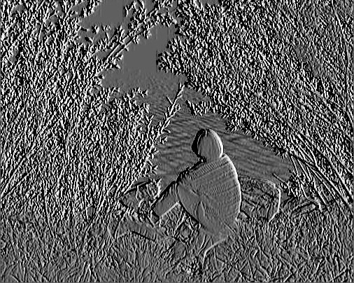 Gifford Pinchot State Park, Lewisberry, Pennsylvania
28-30 ������ 2006 ����